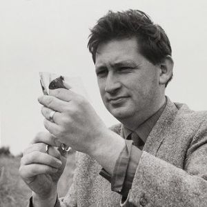 The Wildlife Discotheque Show