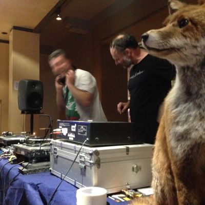 Shows - Wildlife Discotheque