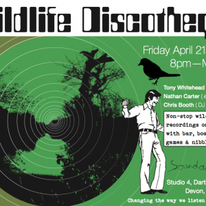 Wildlife Discotheque