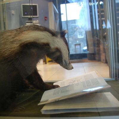 Fun, Fitness and Families - 