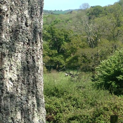 Fun, Fitness and Families - 