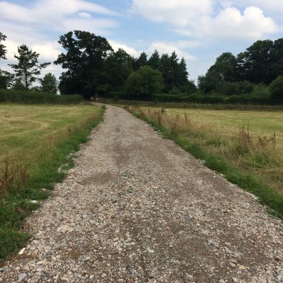 Fun, Fitness and Families - 