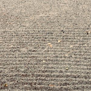 The The Nature Deficit Show Show