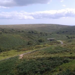 Field Work 