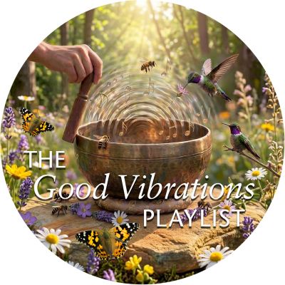 Shows - The Good Vibrations Playlist 
