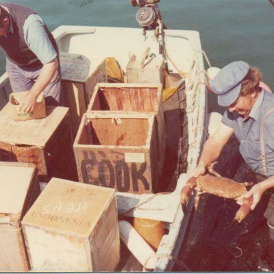 Shows - Estuary Tales