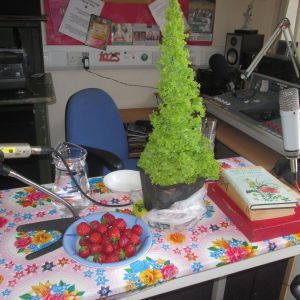 The Morning Connections Show