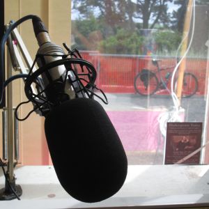 The Buzzin Beats Show